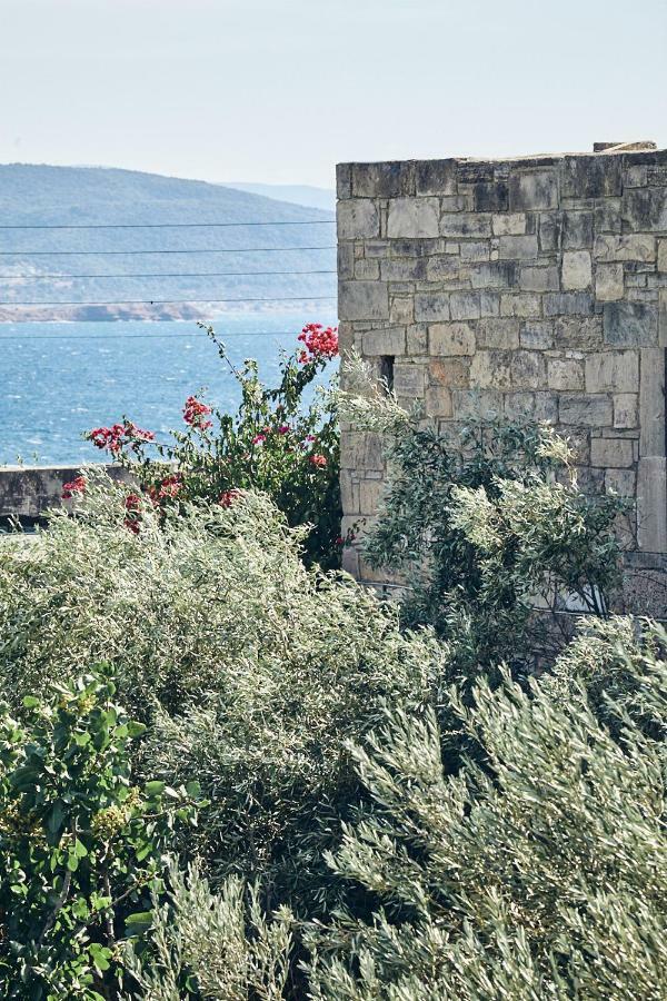Nikolaou Art Residence Aegina Esterno foto