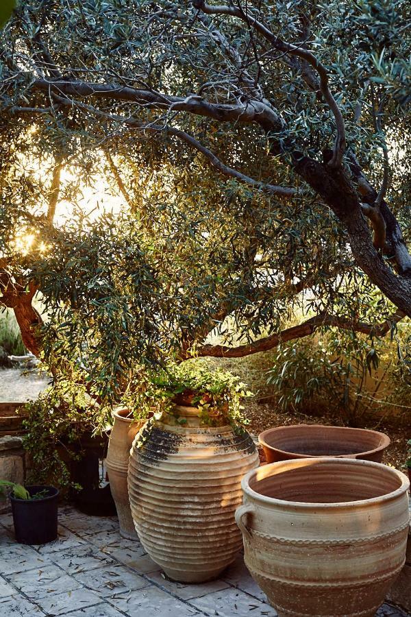 Nikolaou Art Residence Aegina Esterno foto