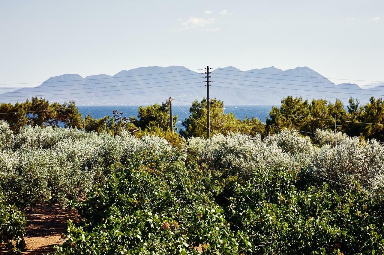 Nikolaou Art Residence Aegina Esterno foto